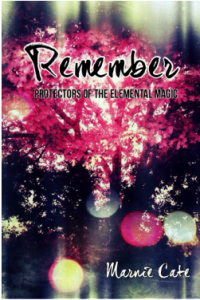 remember by marnie cate book cover