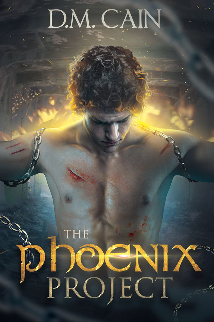The Phoenix Project Cover - Booktrope